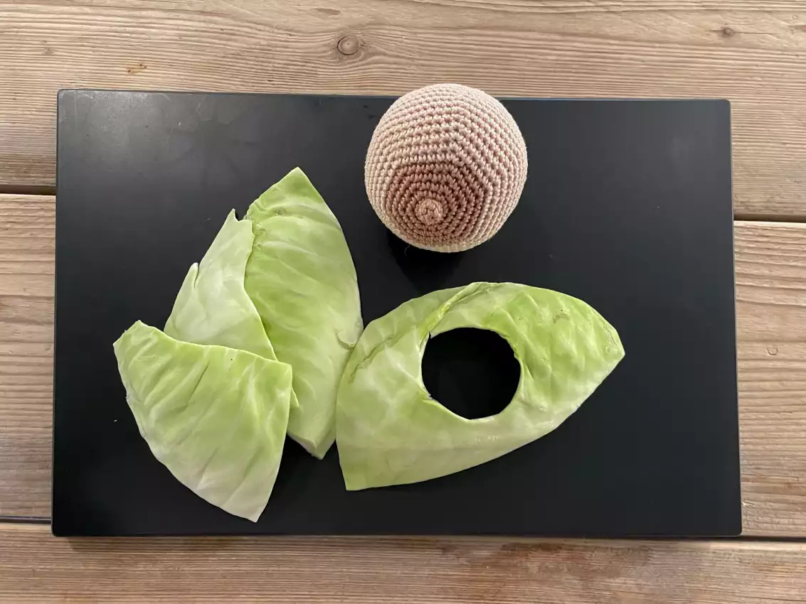 Weißkohlwickel hallohebamme